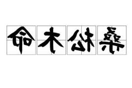 桑松木命 五行